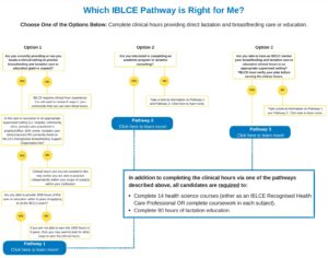 Become an International Board Certified Lactation Consultant